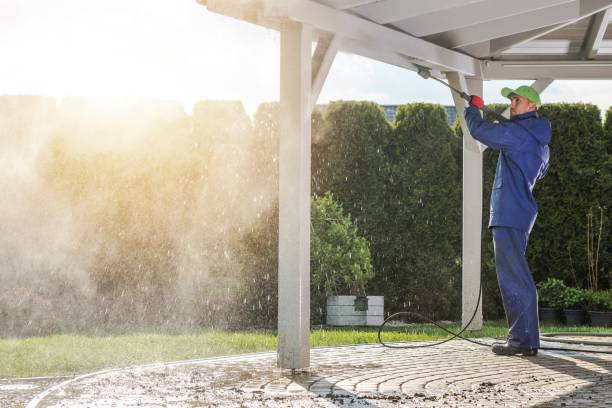 Best Roof Washing  in Upper Montclair, NJ